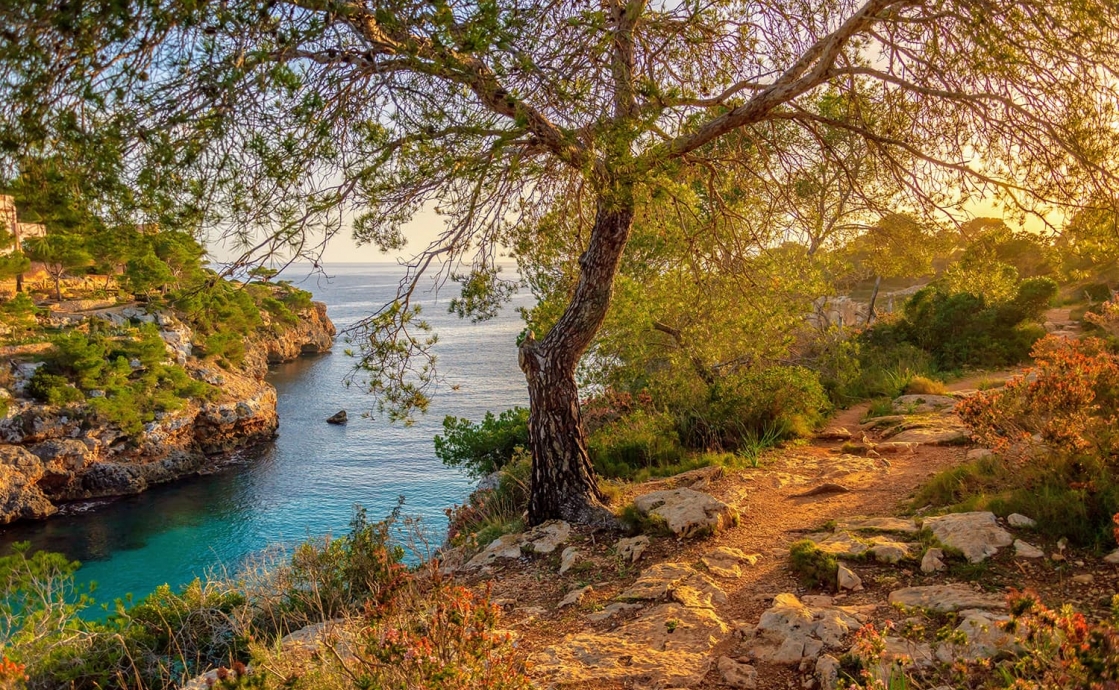 Why visit Mallorca in autumn?