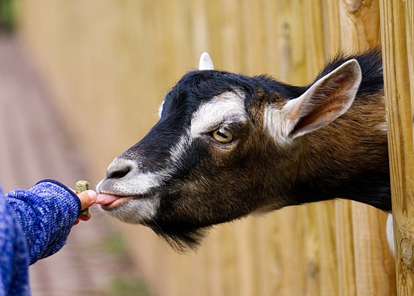 Zufluchtsort für Wildtiere