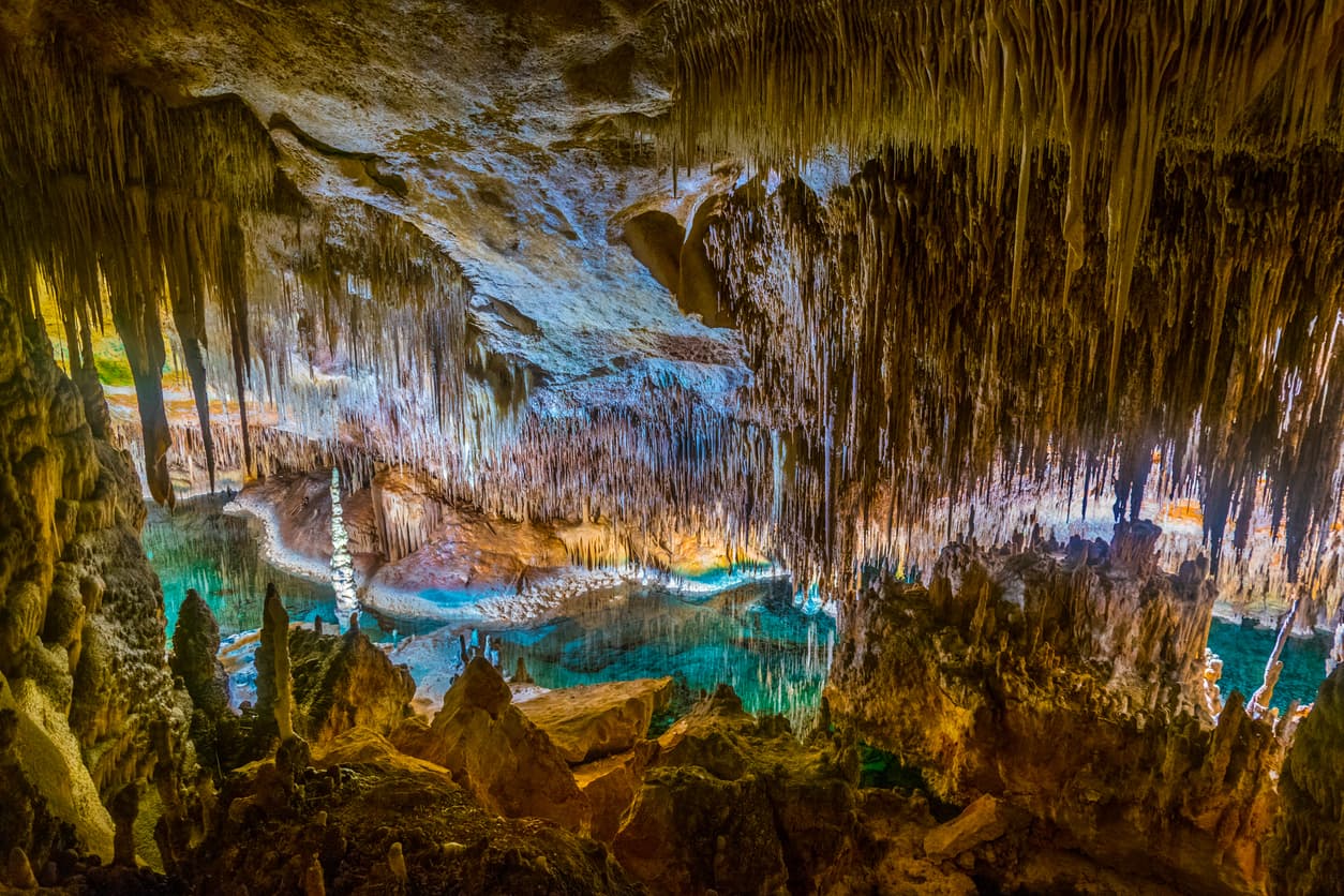 Coves del Drach