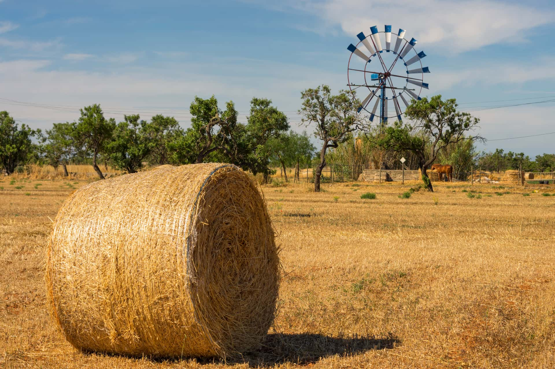 straw bales