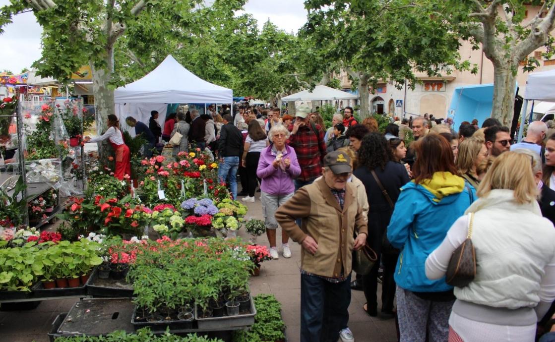 Mercado de Santa María del Camí en primavera: una excursión imprescindible desde Andratx