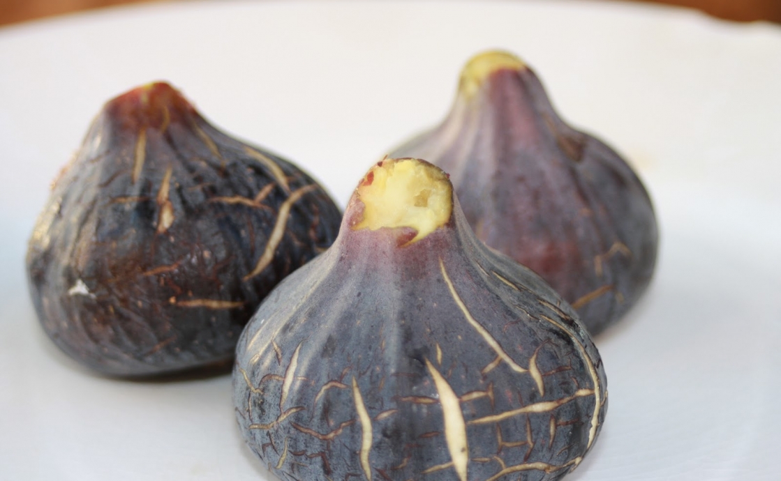 Figues seques: die September-Süßigkeit, die kaum noch jemand zu Hause macht