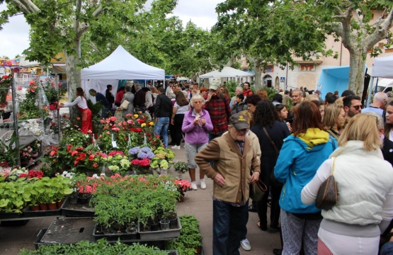 Mercado de Santa María del Camí en primavera: una excursión imprescindible desde Andratx